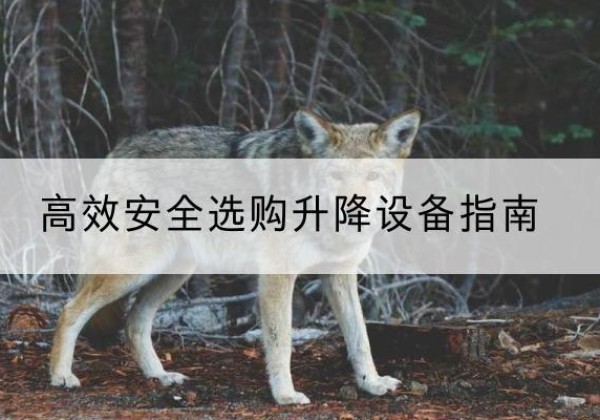 泰和升降货梯厂家推荐-*安全选购升降设备指南