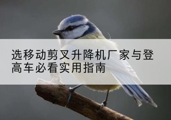 泰和电动升降机厂家-选移动剪叉升降机厂家与登高车必看实用指南